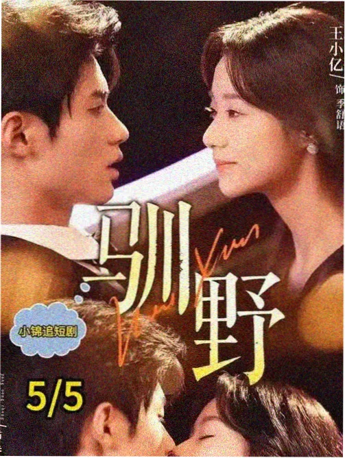 四虎推荐 阿甘正传